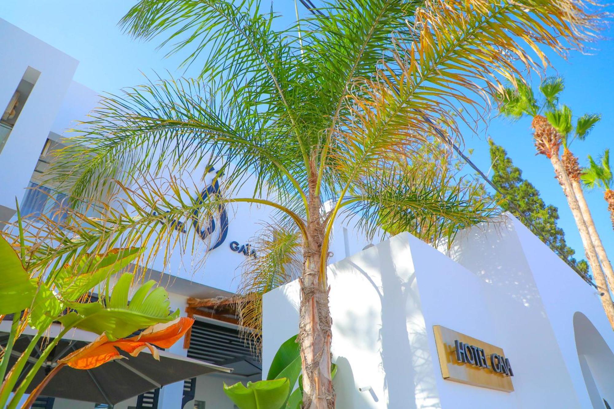 نزل قايا Hotel Gaia Nabeul Exterior photo